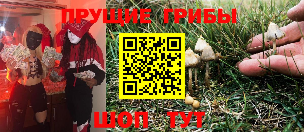 Губкин  Галлюциногенные грибы Magic Shrooms  Псилоцибиновые грибы MAGIC MUSHROOMS  Вход с VPN 